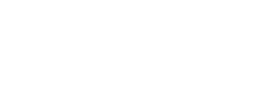 logo light